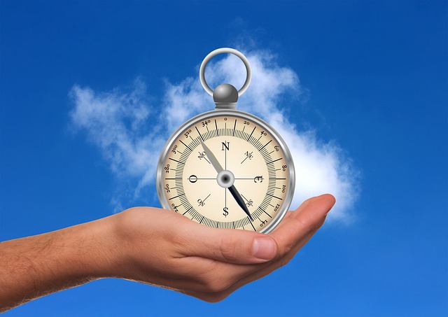 compass, compasses, magnetic compass