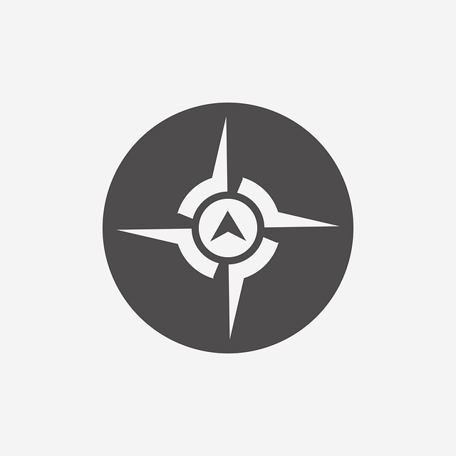 compass, compasses, magnetic compass