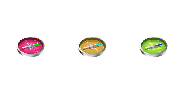 compass, compasses, magnetic compass
