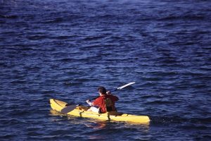 kayaking-kayaks-kayak-640x480-5602953.jpeg