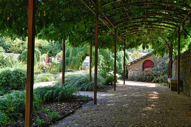 pergolas, pergola