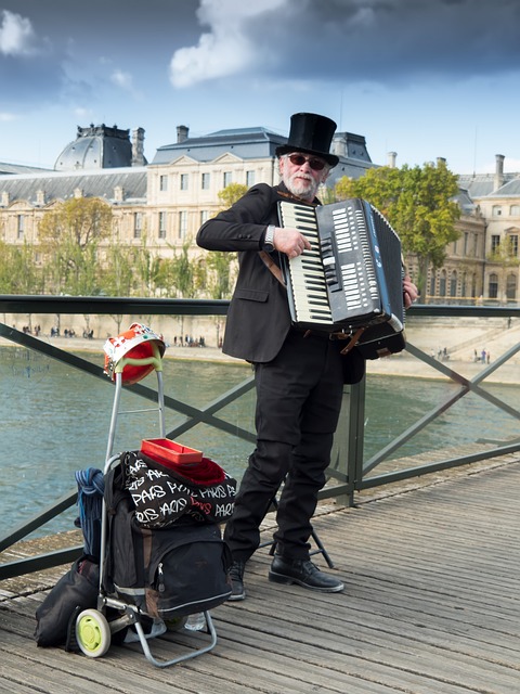 accordion, accordions