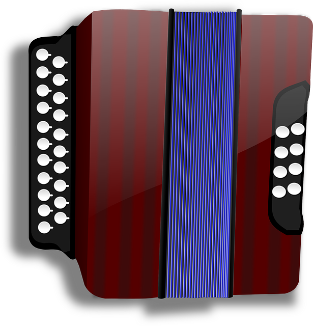 accordion, accordions
