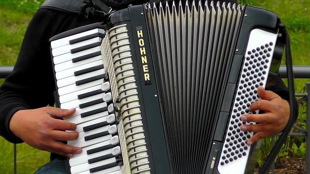 accordion, accordions