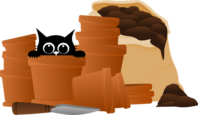 composting-compost-vermiculture-640x480-73510392.png