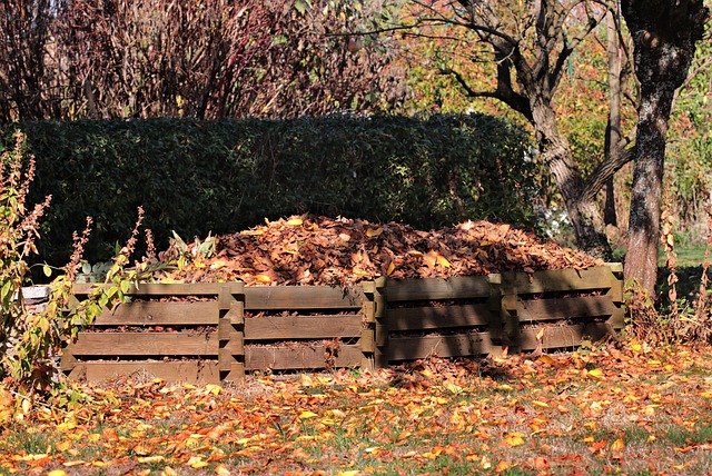 composting, compost, vermiculture