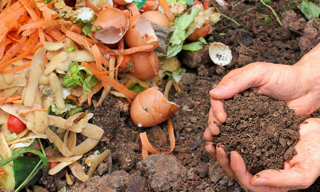 composting-compost-vermiculture-640x480-8375742.jpeg