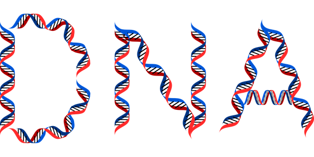 dog dna test, puppy dna test