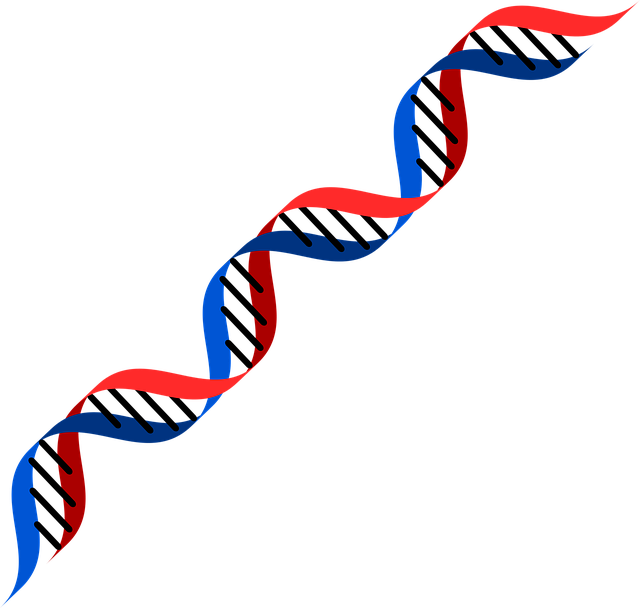dog dna test, puppy dna test