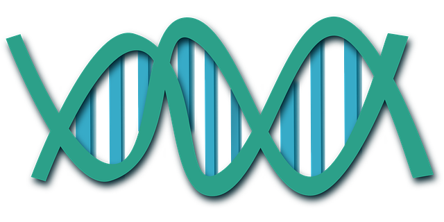 dog dna test, puppy dna test