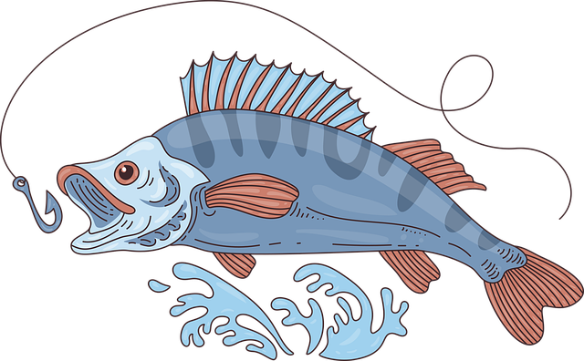 fishing-supplies-640x480-5851410.png