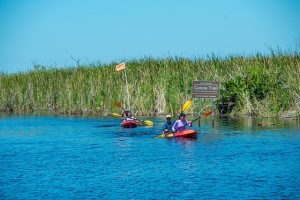 kayaking-kayaks-kayak-640x480-17846857.jpeg