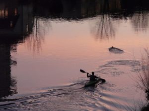 kayaking-kayaks-kayak-640x480-56240468.jpeg