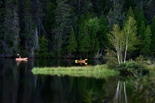 kayaking, kayaks, kayak