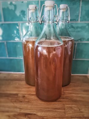 kombucha-640x480-18781976.jpeg