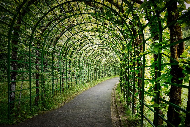 pergolas, pergola