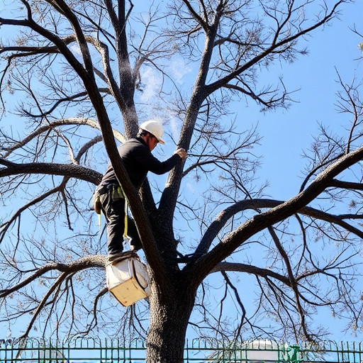 tree services