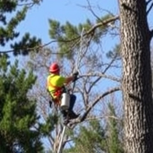 tree services