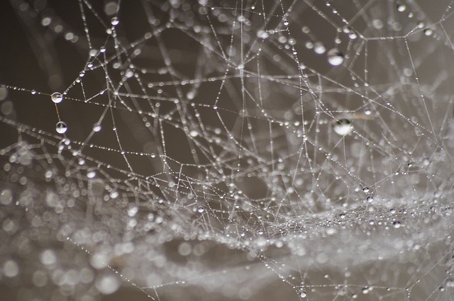web-design-640x480-22940929.jpeg