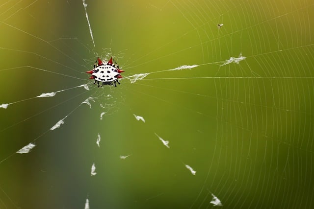 web-design-640x480-32314341.jpeg