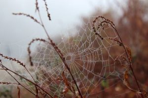 web-design-640x480-747456.jpeg
