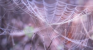 web-design-640x480-91165072.jpeg