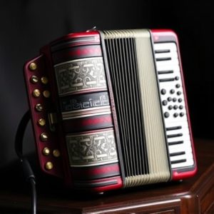 accordion-accordions-640x480-69337477.jpeg