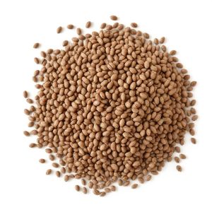 chia-seeds-chia-chia-seed-640x480-80149453.jpeg