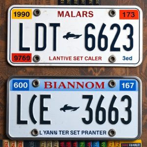 license-plate-frames-640x480-84995038.jpeg