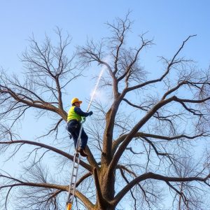 tree-removal-640x480-52756680.jpeg