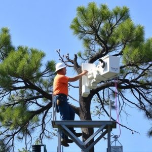 tree-services-640x480-13279136.jpeg