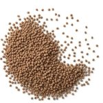 Unveiling Truths: Organic vs Conventional Chia Seeds Compared