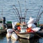 Optimize Your Fishing Game: Tackle Box Organization Tips