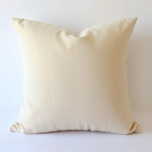 throw-pillow-640x480-43528453.jpeg