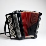 Accordion Festivals: A Global Music Festival Movement