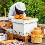 Maximizing Space: Storage Containers for Efficient Beekeeping Supplies