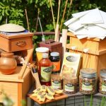 Optimizing Beekeeping Harvests: Tools, Safety, and Future Tech