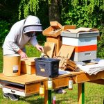 Mastering Beekeeping Supplies: Brushes for Hive Care and Safety