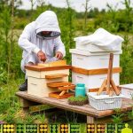 Beekeeping Supplies: Protecting Your Hive During Emergencies