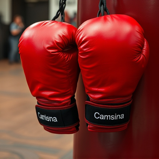 boxing bag gloves