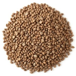 chia-seeds-chia-chia-seed-640x480-40989394.jpeg