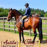 Mastering Saddle Maintenance: Extending Equestrian Equipment Lifespan