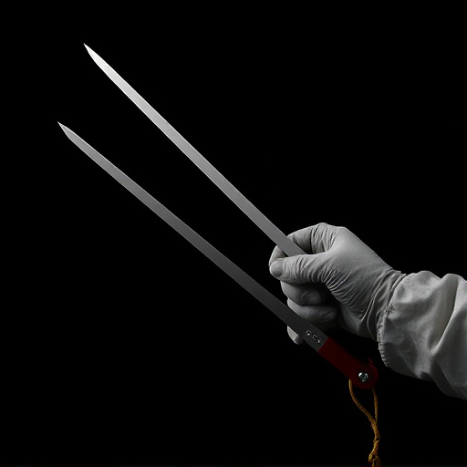 fencing foils