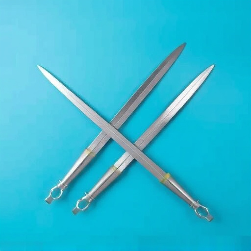 fencing foils