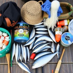 fishing-supplies-640x480-62442813.jpeg