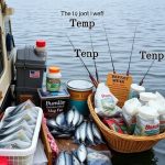 Mastering Baitcasting: Equipment, Techniques, and Top Supply Picks