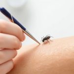 Maximizing Lice Treatment: Unlocking Success with Combination Approaches