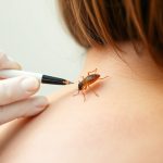 Comprehensive Guide: Effective Lice Treatment Training & Programs