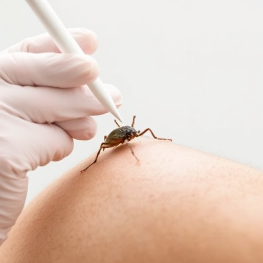 lice-treatment-640x480-29308210.jpeg