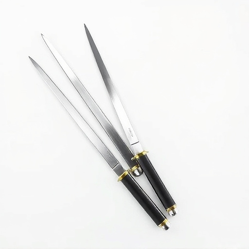 fencing foils